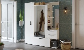 Шкаф платяной Эрика в Менделеевске - mendeleevsk.mebel24.online | фото 3
