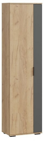 Шкаф платяной Эвита в Менделеевске - mendeleevsk.mebel24.online | фото