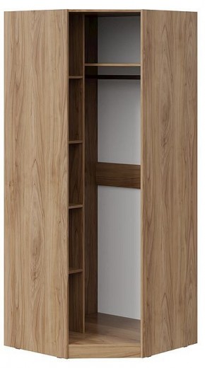 Шкаф платяной Глосс СМ-319.07.312 в Менделеевске - mendeleevsk.mebel24.online | фото 2