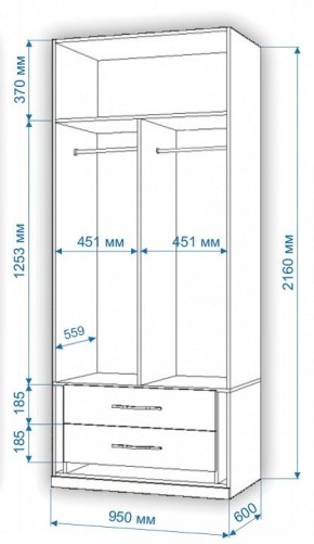 Шкаф платяной Нобиле Пл-95/60 в Менделеевске - mendeleevsk.mebel24.online | фото 3