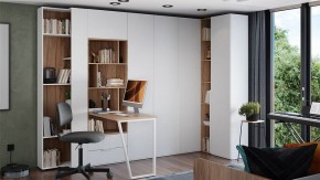 Шкаф платяной Порто СМ-393.07.223 в Менделеевске - mendeleevsk.mebel24.online | фото 6