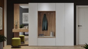 Шкаф платяной Порто СМ-393.07.223 в Менделеевске - mendeleevsk.mebel24.online | фото 9