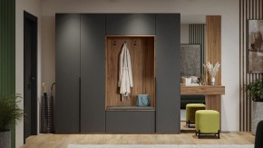 Шкаф платяной Порто СМ-393.07.223 в Менделеевске - mendeleevsk.mebel24.online | фото 11