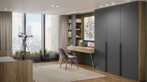Шкаф платяной Порто СМ-393.07.223 в Менделеевске - mendeleevsk.mebel24.online | фото 5