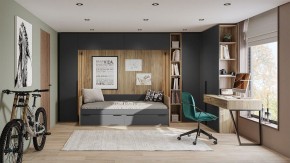 Шкаф платяной Порто СМ-393.07.223 в Менделеевске - mendeleevsk.mebel24.online | фото 6