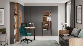 Шкаф платяной Порто СМ-393.07.223 в Менделеевске - mendeleevsk.mebel24.online | фото 9