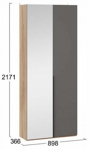 Шкаф платяной Порто СМ-393.07.225 в Менделеевске - mendeleevsk.mebel24.online | фото 3