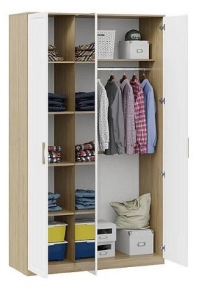 Шкаф платяной Сэнди в Менделеевске - mendeleevsk.mebel24.online | фото 3