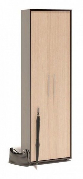 Шкаф платяной ШО-1 в Менделеевске - mendeleevsk.mebel24.online | фото