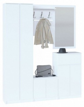 Шкаф платяной ШО-4 в Менделеевске - mendeleevsk.mebel24.online | фото 3