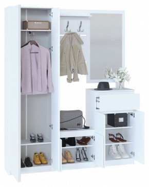 Шкаф платяной ШО-4 в Менделеевске - mendeleevsk.mebel24.online | фото 4