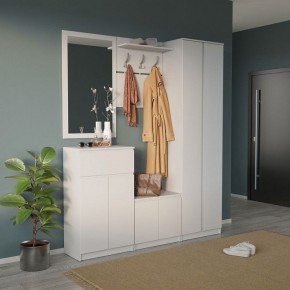 Шкаф платяной ШО-4 в Менделеевске - mendeleevsk.mebel24.online | фото 6
