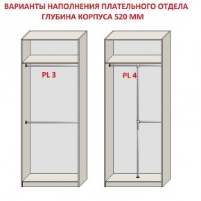 Шкаф распашной серия «ЗЕВС» (PL3/С1/PL2) в Менделеевске - mendeleevsk.mebel24.online | фото 10