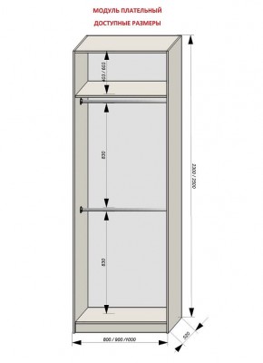 Шкаф распашной серия «ЗЕВС» (PL3/С1/PL2) в Менделеевске - mendeleevsk.mebel24.online | фото 12