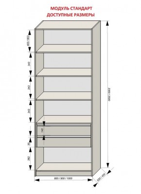 Шкаф распашной серия «ЗЕВС» (PL3/С1/PL2) в Менделеевске - mendeleevsk.mebel24.online | фото 13