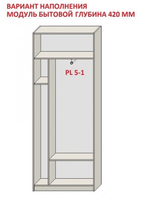 Шкаф распашной серия «ЗЕВС» (PL3/С1/PL2) в Менделеевске - mendeleevsk.mebel24.online | фото 4