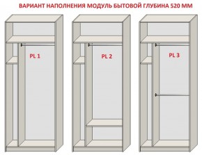 Шкаф распашной серия «ЗЕВС» (PL3/С1/PL2) в Менделеевске - mendeleevsk.mebel24.online | фото 5