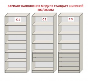 Шкаф распашной серия «ЗЕВС» (PL3/С1/PL2) в Менделеевске - mendeleevsk.mebel24.online | фото 6