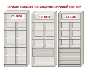 Шкаф распашной серия «ЗЕВС» (PL3/С1/PL2) в Менделеевске - mendeleevsk.mebel24.online | фото 7