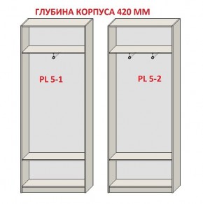 Шкаф распашной серия «ЗЕВС» (PL3/С1/PL2) в Менделеевске - mendeleevsk.mebel24.online | фото 8