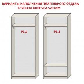 Шкаф распашной серия «ЗЕВС» (PL3/С1/PL2) в Менделеевске - mendeleevsk.mebel24.online | фото 9