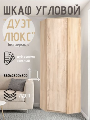 Шкаф угловой Дуэт Люкс без зеркала в Менделеевске - mendeleevsk.mebel24.online | фото 5