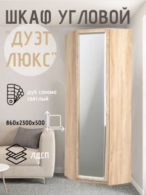 Шкаф угловой Дуэт Люкс с зеркалом в Менделеевске - mendeleevsk.mebel24.online | фото 1
