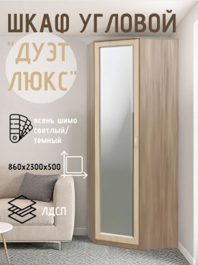 Шкаф угловой Дуэт Люкс с зеркалом в Менделеевске - mendeleevsk.mebel24.online | фото 3