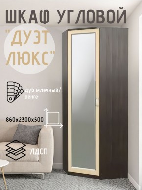 Шкаф угловой Дуэт Люкс с зеркалом в Менделеевске - mendeleevsk.mebel24.online | фото 5