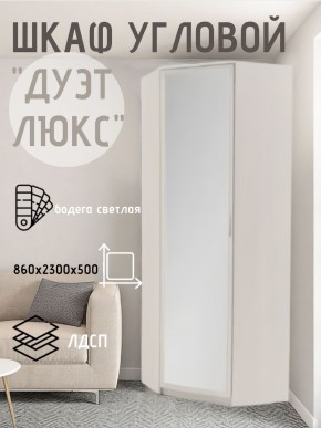 Шкаф угловой Дуэт Люкс с зеркалом в Менделеевске - mendeleevsk.mebel24.online | фото 6