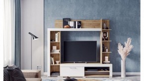 Стенка для гостиной Касэль в Менделеевске - mendeleevsk.mebel24.online | фото 3