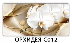 Стол раздвижной Трилогия с фотопечатью Доска D112 в Менделеевске - mendeleevsk.mebel24.online | фото 13
