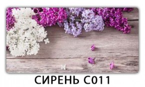 Стол раздвижной Трилогия с фотопечатью Доска D112 в Менделеевске - mendeleevsk.mebel24.online | фото 16
