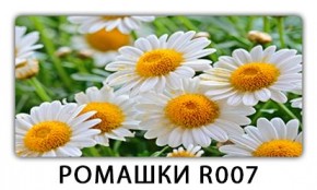 Стол раздвижной Трилогия с фотопечатью Ромашки R007 в Менделеевске - mendeleevsk.mebel24.online | фото 15