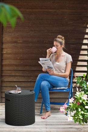 Столик-холодильник Кул-Стул (Cool stool) графит в Менделеевске - mendeleevsk.mebel24.online | фото 1