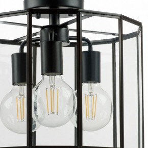 Светильник на штанге Lightstar Genni 798237 в Менделеевске - mendeleevsk.mebel24.online | фото 4