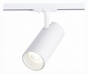 Светильник на штанге ST-Luce Mono ST350.536.30.36 в Менделеевске - mendeleevsk.mebel24.online | фото 2