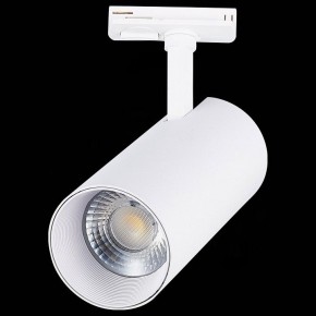 Светильник на штанге ST-Luce Mono ST350.536.30.36 в Менделеевске - mendeleevsk.mebel24.online | фото 6