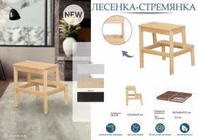 Табурет Стремянка в Менделеевске - mendeleevsk.mebel24.online | фото 3