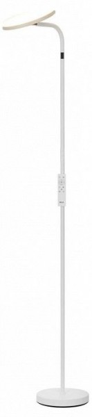 Торшер Citilux SOLO CL804060 в Менделеевске - mendeleevsk.mebel24.online | фото