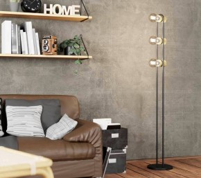 Торшер Eglo ПРОМО Chieveley 43544 в Менделеевске - mendeleevsk.mebel24.online | фото 2