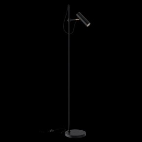Торшер Maytoni Bansky MOD129FL-01B в Менделеевске - mendeleevsk.mebel24.online | фото 2