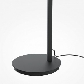 Торшер Maytoni Emphaty MOD363FL-L14B3K в Менделеевске - mendeleevsk.mebel24.online | фото 5