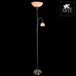 Торшер с подсветкой Arte Lamp Duetto A9569PN-2SS в Менделеевске - mendeleevsk.mebel24.online | фото 3