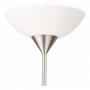 Торшер с подсветкой Arte Lamp Duetto A9569PN-2SS в Менделеевске - mendeleevsk.mebel24.online | фото 4