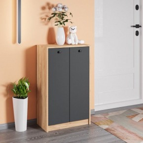 Тумба для обуви Рино в Менделеевске - mendeleevsk.mebel24.online | фото 3