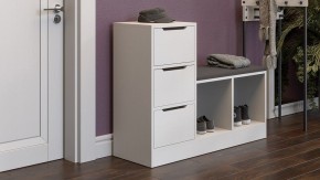 Тумба для обуви Тип 14 в Менделеевске - mendeleevsk.mebel24.online | фото 5