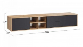 Тумба под ТВ Тип 5 в Менделеевске - mendeleevsk.mebel24.online | фото 5