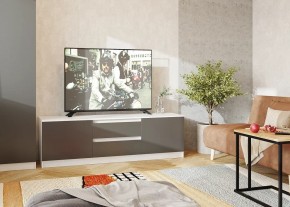 Тумба ТВ большая Парус (Белый/Графит) в Менделеевске - mendeleevsk.mebel24.online | фото 2