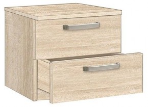 Тумбочка 1.021 в Менделеевске - mendeleevsk.mebel24.online | фото